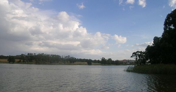 Death at Lake Ginninderra