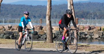 Merimbula cyclist's widow calls for tough stance on road rage