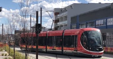 Canberra's light rail picks up speed with network to be fully operational in April