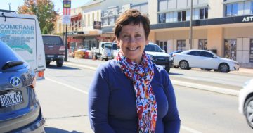 Jobs, education remain ALP focus while Liberals search for candidate