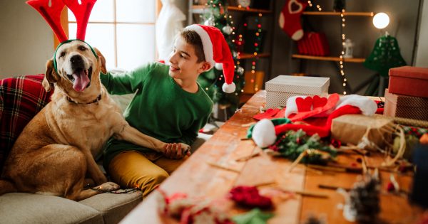 Not sharing can be caring when it comes to Christmas treats and your pets