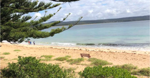 Canberra Day Trips: NRMA Murramarang Beachfront Resort – where nature is on your doorstep