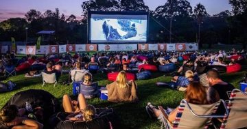 Eleven things to do around Canberra this festive period (22-30 December)