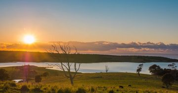 Canberra Day Trips: Discover the picturesque Tilba region