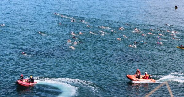 From NZ to Canberra, returning participants flock to Tathra's upcoming Wharf to Waves