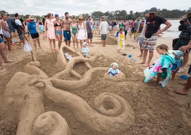 Octopus sand display