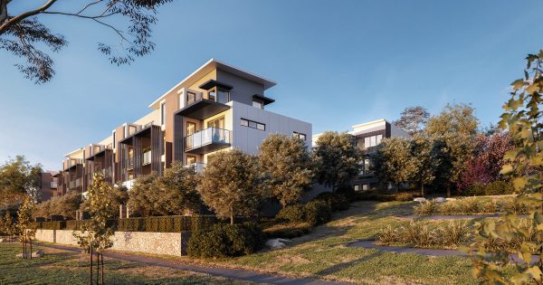 Ideally located Denman Prospect terraces fill gap in the market for mid-size homes