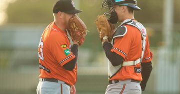 Canberra Cavalry's doubleheader a pitch-perfect start to baseball season