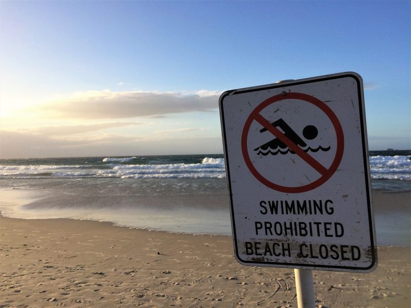 Two South Coast beaches closed today as white sharks spotted