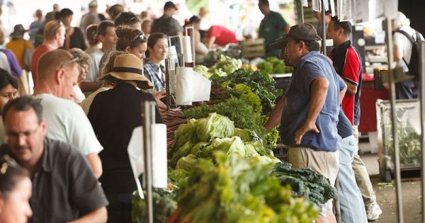 Market growers keep their cool in a scorcher