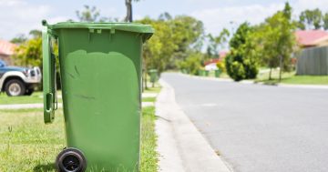 Free food waste disposal and additional green waste collection for Belconnen community following storm