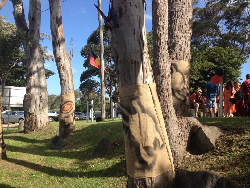 Trees decorated with Glen Atkinson's turtle totem outside Apma gallery in Tilba on January 20. Picture: Elka Wood.