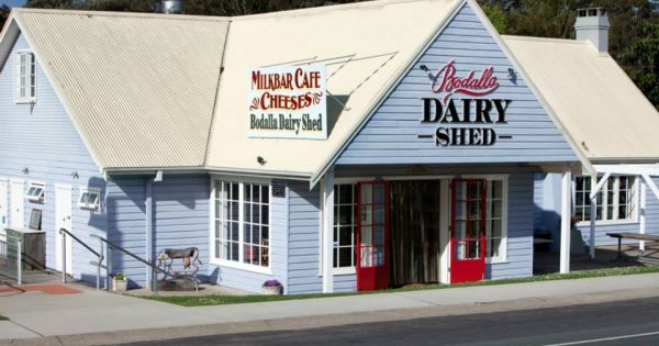 Canberra Day Trips: Bodalla - a cheese-lover’s paradise