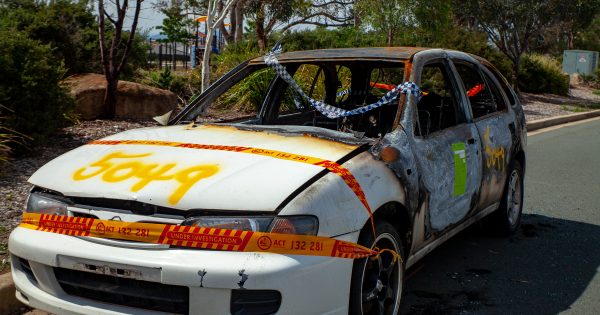 Car fires in the Capital: bored kids, criminal gangs, or more?