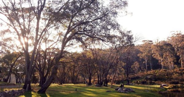 Canberra Day Trips: Corin Forest – an all-weather destination