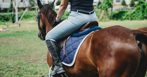 The best horse riding schools and equestrian centres in Canberra