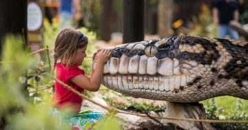Towering fibreglass animals and 55 activities at zoo’s new playground