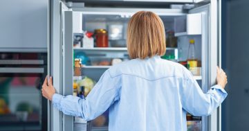 The best fridge repairs in Canberra