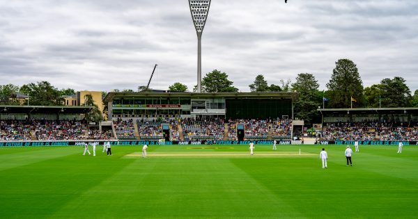 New replay screens to be installed at Manuka Oval during summer of cricket