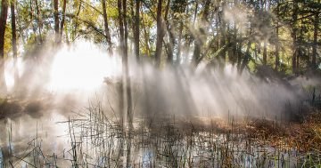 NGA fog sculpture reunites with its maker