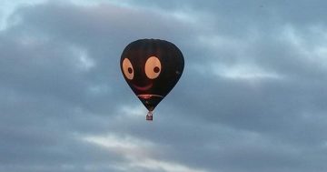 'Racist' Golly banned from Balloon Spectacular