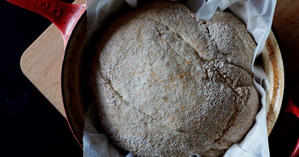 Brewing up a bubbling sourdough (and staying clean)