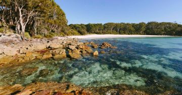 UNSW Canberra researchers use smartphones to track microplastics in Jervis Bay
