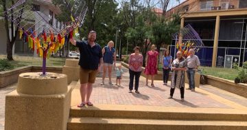 Tuggeranong's community party set to be bigger with Government boost