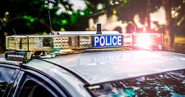 Scullin man allegedly punched, kicked and set dog on teen