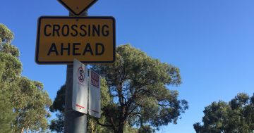 330 motorists fined in ACT school zones as debate hots up on times