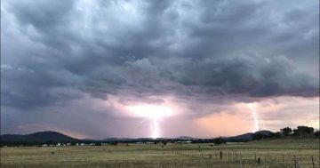 Thunderstorm and pollen combination sparks rare health warning