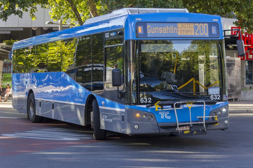 Transport Canberra bus