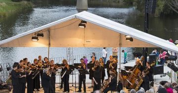 New Concertmaster to lead CSO for first time at Queanbeyan's Music by the River