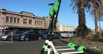 ACT Government to regulate e-scooters on Canberra roads