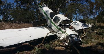 Pilot’s “miracle” escape from plane crash near Bungendore