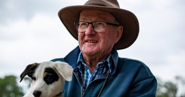 National Sheepdog Trials are rich in history and skill