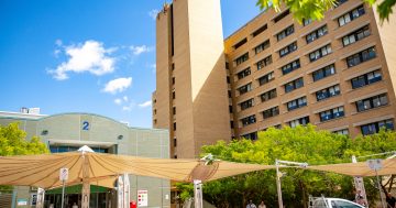 Canberra Hospital Masterplan options offer room to grow