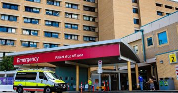 Signs of hope but figures show ACT hospitals still struggling