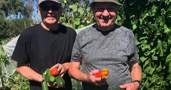 Canberra’s Secret Gardens bursting with community spirit