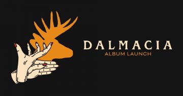 Dalmacia Are Doing Near-Perfect Indie Rock