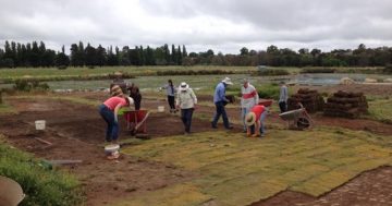 The swamp workers turning Goulburn green