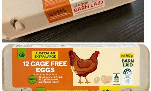 Eggs recalled from ACT due to salmonella concerns
