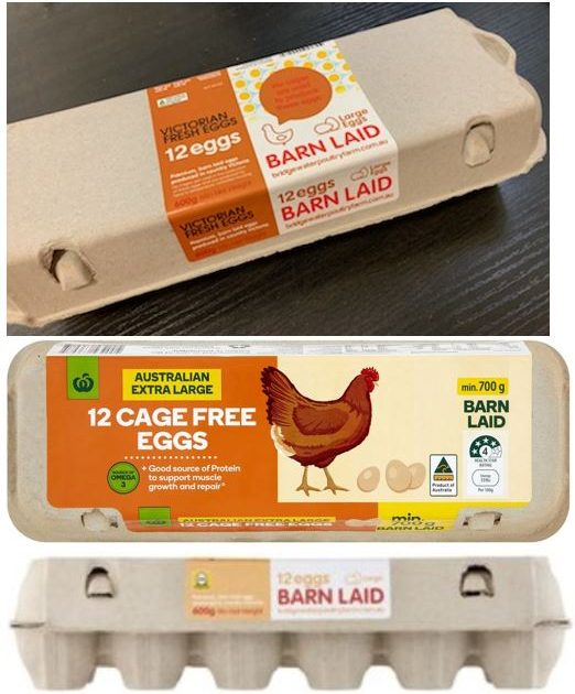 Eggs recalled from ACT due to salmonella concerns Riotact