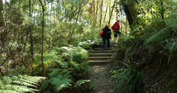 Canberra Day Trips: 9 reasons to visit Eurobodalla Regional Botanic Garden