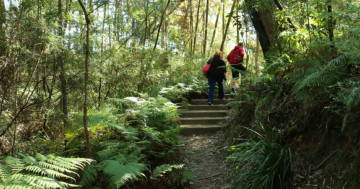 Canberra Day Trips: 9 reasons to visit Eurobodalla Regional Botanic Garden