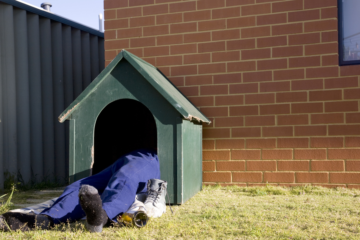 How you can be in the dog house for a good cause | The RiotACT