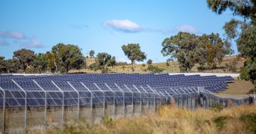 Buyers are flocking after Mugga Lane Solar Park enters administration