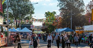 COVID fells Folk Festival again, reduced event being explored