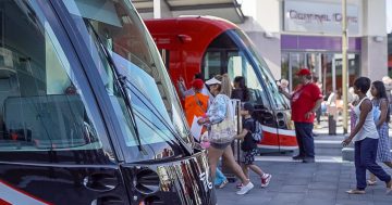 Call for more services to keep light rail love affair on track