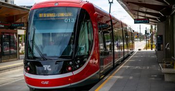 Havoc on light rail route as technical issues cause delays